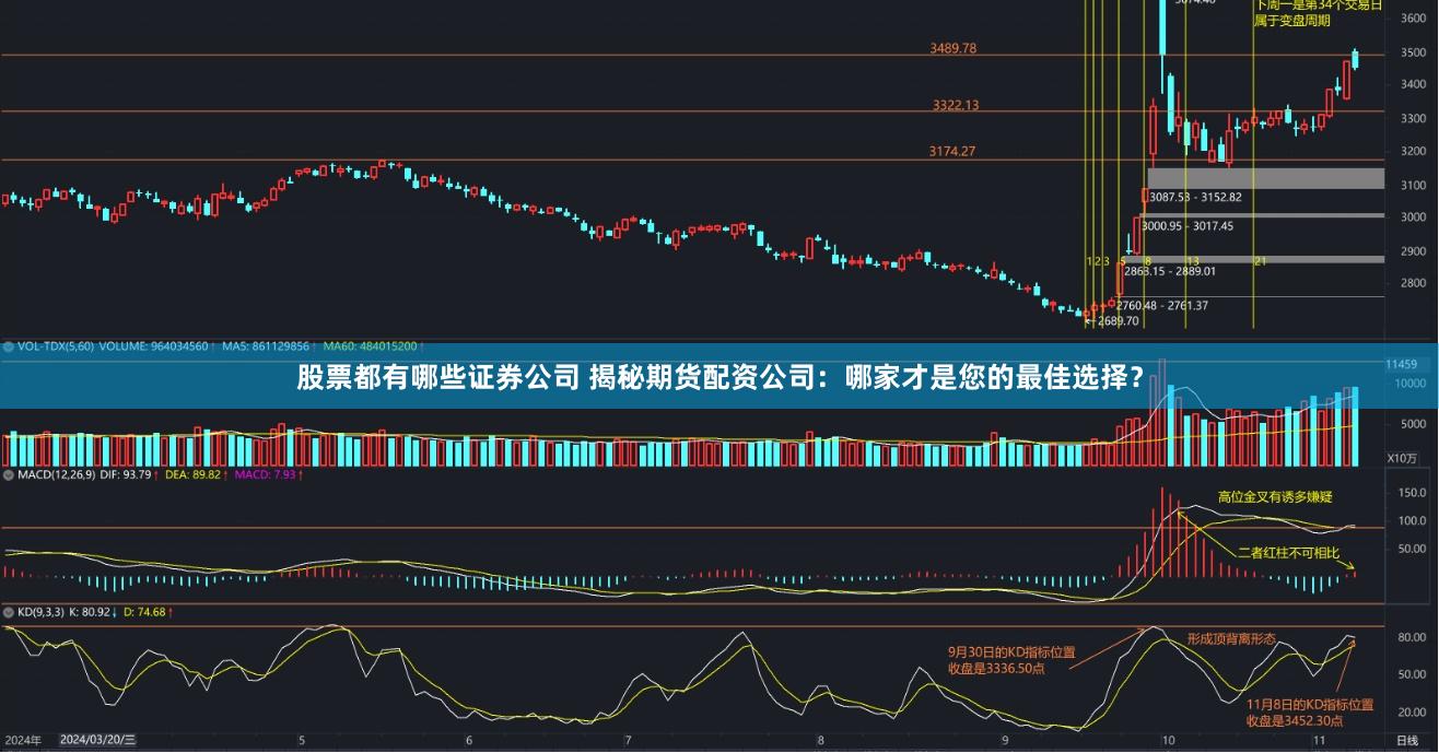 股票都有哪些证券公司 揭秘期货配资公司：哪家才是您的最佳选择？